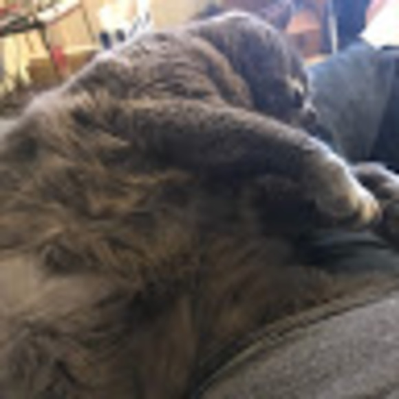 Meet your Posher, Lyndsey - Picture 1 of 1